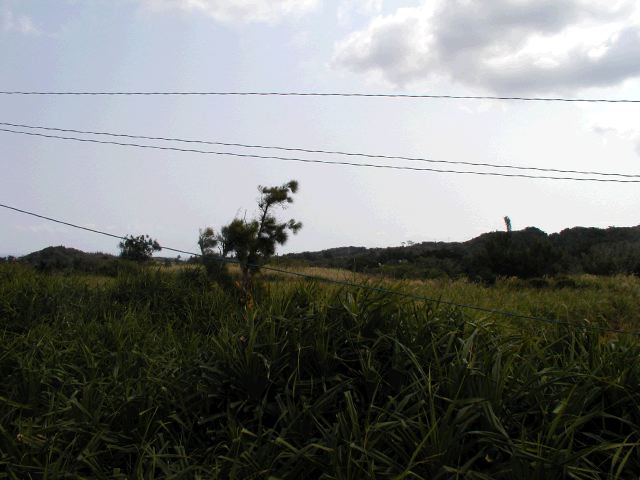 m_P2180083.JPG