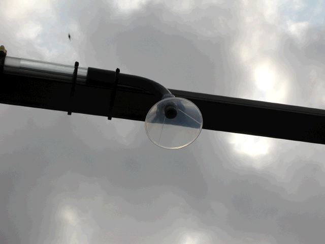 m_P2180097.JPG