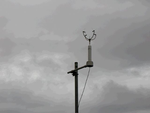 m_P3130159.JPG