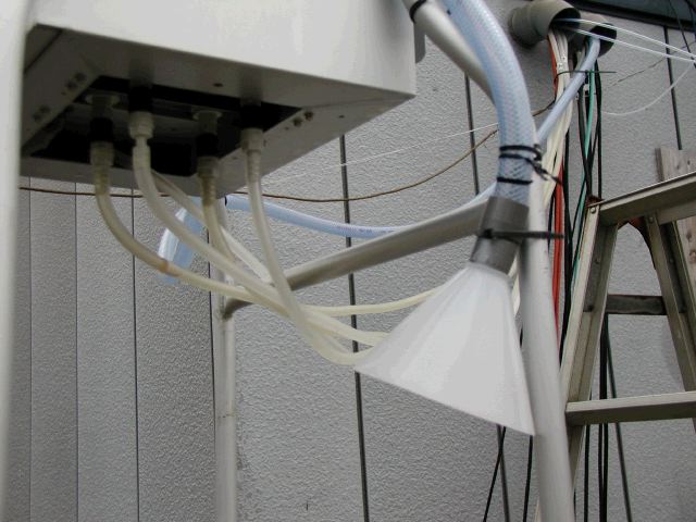 m_P3130161.JPG