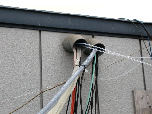 m_P3130162.JPG