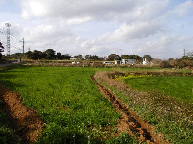m_P3180015.JPG