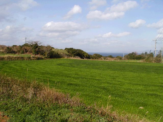 m_P3180016.JPG