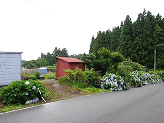 写真1:中の平遺跡の現状