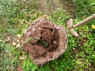 写真4：B地点付近で農作業中に掘り起こされていた縄紋時代後期初頭の土器