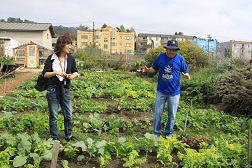 カリフォルニアのコミュニティ菜園