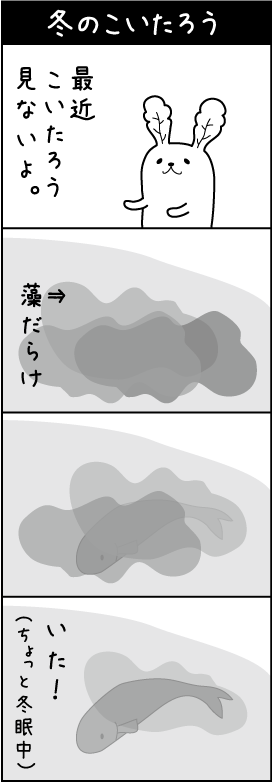 冬のこいたろう 地球犬４コマまんが