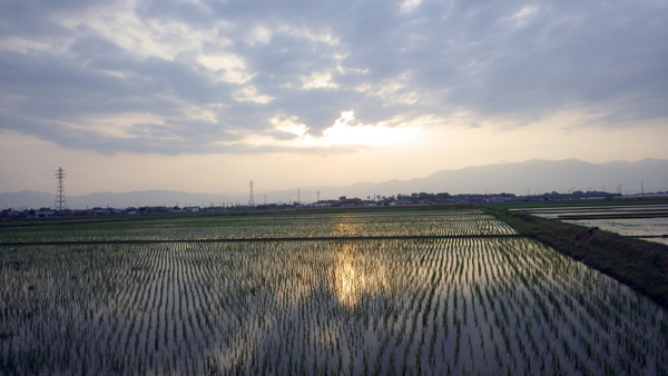 田園地帯