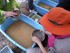 水洗ふるい作業