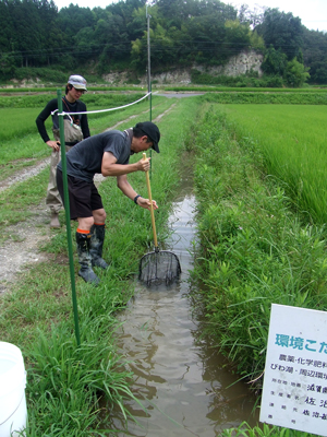 ひよせでの生物調査の様子