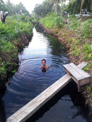 泥炭地の水で水浴びをする