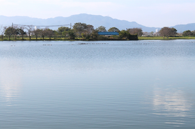 公園整備