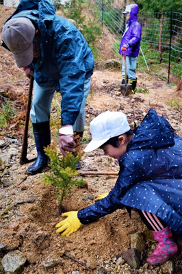 小学校の植樹。明治に始まり120年以上続く取り組み