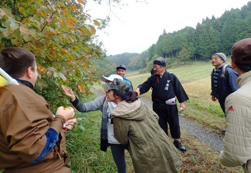 里山の野草を学ぶイベント。海外の方も参加