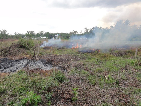 住民による野焼き（スマトラ島東部タンジュンルバン村　2013年10月）