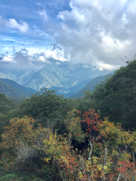 Shei-Pa National Park（台湾）