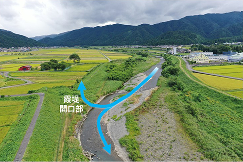 福井県北川流域に残る霞堤。洪水時には開口部から背後の水田に水がゆるやかに溢れる。