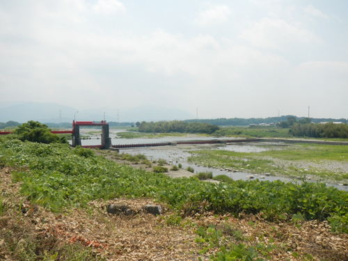 愛知川