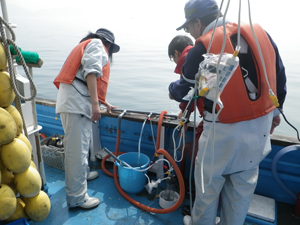 海底湧水調査の作業風景