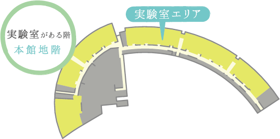 本館地階　実験室がある階 実験室エリア