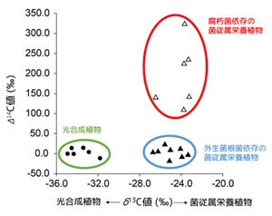 図4. 独立栄養植物と菌従属栄養植物のδ13C値(光合成依存度の指標)とΔ14C値の比較