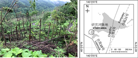 2016年8月に北海道に上陸した台風と，研究対象地における森林倒壊