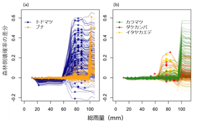 図3.森林倒壊確率に対する優占樹種と総雨量の相互作用。説明変数の最小値での倒壊確率の期待値を0として各グリッドの倒壊確率の期待値を表現。●は観測値。プロットが密集しすぎるため300のグリッドを無作為にサンプリングして描いた。