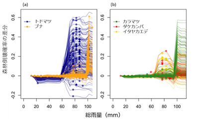 図３．森林倒壊確率に対する優占樹種と総雨量の相互作用。説明変数の最小値での倒壊確率の期待値を0として各グリッドの倒壊確率の期待値を表現。●は観測値。プロットが密集しすぎるため300のグリッドを無作為にサンプリングして描いた。