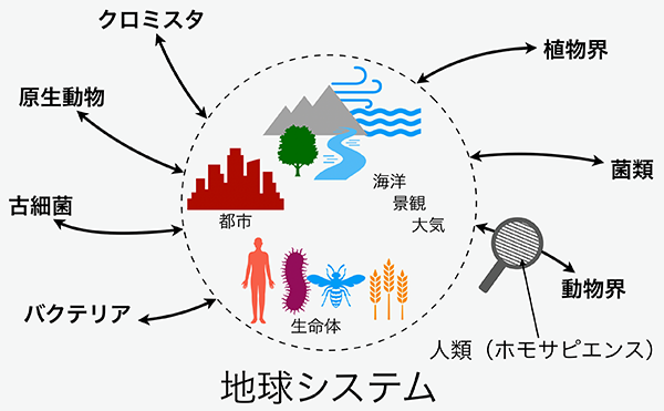 図３　生態系の構成者を強調したマルチスピーシーズな持続可能性の可視化モデル。