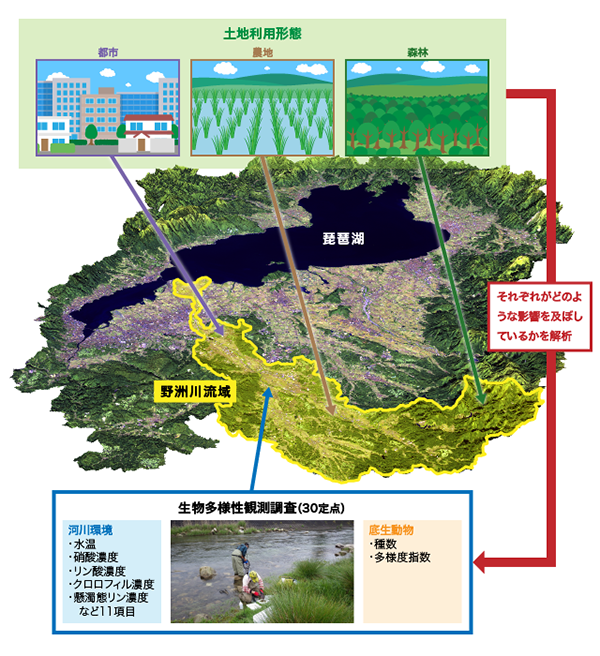 図1　今回の研究の概要。野洲川の30箇所に観測定点を設けて生物多様性観測を行い、生物多様性が土地利用から受ける影響を解析した。