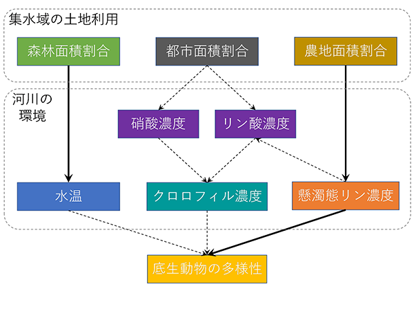 図2 流域の各種土地利用が河川生態系の物理・化学・生物環境の改変を介して底生動物の多様性(種数)に及ぼす影響を表した相関図(灌漑期の解析結果の一例を示す)