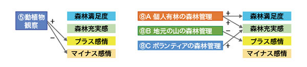 図4 森林関連活動が4種の森林幸福感に与える影響の例 +は左の活動が右の森林幸福度を高めることを、-は低下させることを示す。活動の番号は図2の設問に対応している。