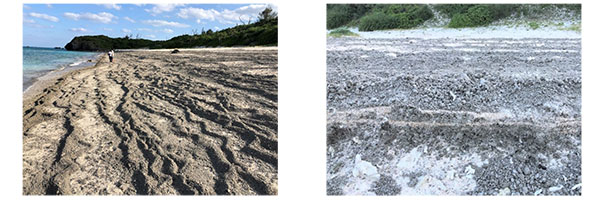 白い砂浜の一面が漂着軽石で覆われてしまった与論島の海岸（遠景と近景）