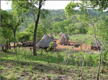 Tongan farming household