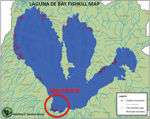 過去10年間のラグナ湖における魚大量死の発生箇所