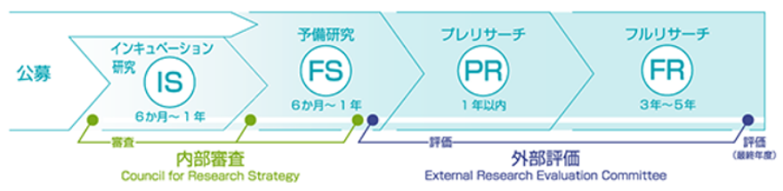 実践プログラムのプロジェクトにおけるプロジェクトの進め方