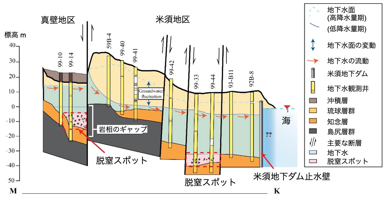 図4 沖縄島南部の石灰岩地域での地下水の脱窒モデル。琉球層群(琉球石灰岩)は透水層のため、降った雨は地下水となります。そして、下位の不透水層(知念層・島尻層群)との境界にそって流れています。断層による不透水層の隆起(岩相のギャップ)や断層に囲まれた陥没箇所では、地下水の流動が滞り、嫌気的な環境となって脱窒菌の活動が活発化する脱窒スポットが形成されていると考えられます。