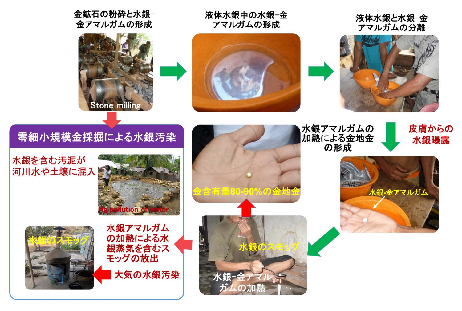図1：ASGMにおける水銀アマルガムプロセスと環境汚染