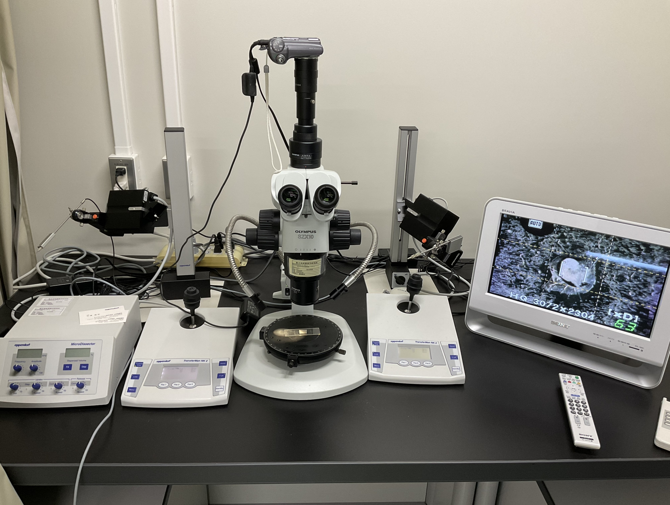 マイクロダイセクター