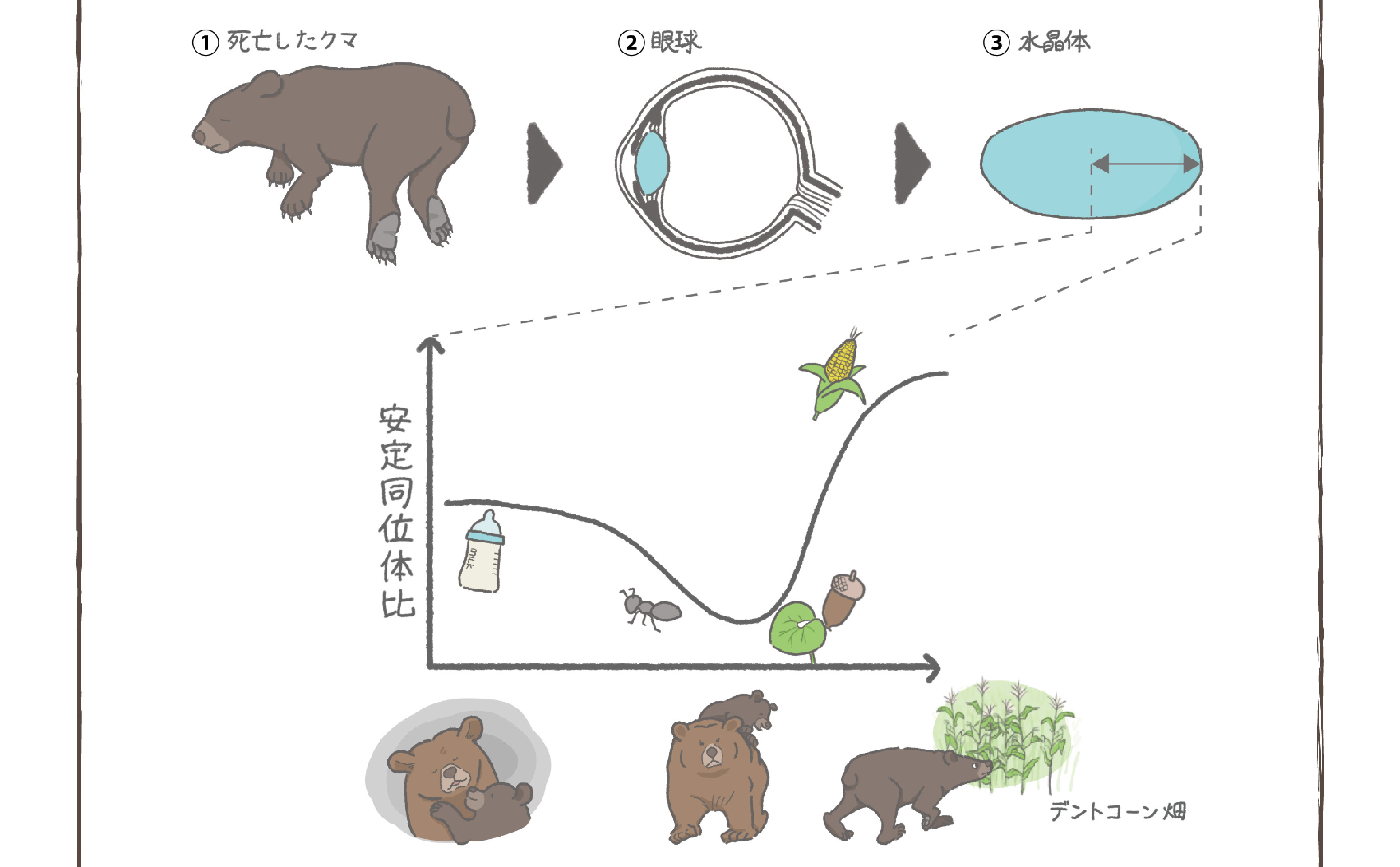 大規模火山噴火と夜光雲の関係についての世界初観測に成功