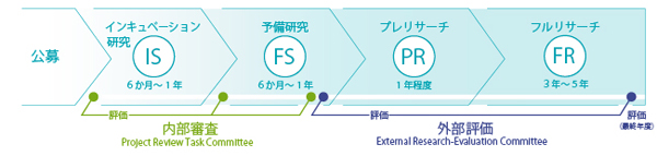 実践プロジェクト