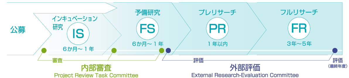 実践プロジェクト