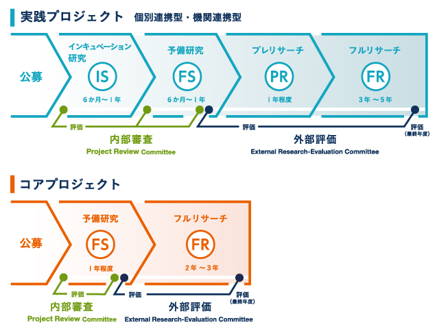 研究プロジェクトの進め方