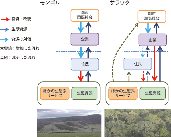 図　モンゴル草原とサラワク熱帯林の生態系ネットワークの重要な差異