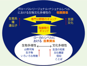 図2 生物文化多様性認識のマクロレベルとローカルレベルにおけるギャップ