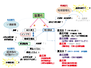 図　気候変化（温暖化・湿潤化）が東シベリアの陸域生態系と水環境を変化させ、社会変化（ソ連崩壊・市場経済化）と相まってトナカイ生業（飼育・狩猟）と河川洪水（牛馬飼育・住居）に及ぼす影響を示した連鎖図。これまでの適応の様相と今後の適応策も示す