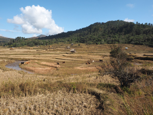 写真1 東アジアモンスーン地域の典型的な棚田-里山景観の例(ラオス北東部)