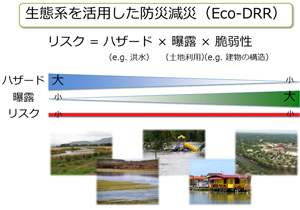 図1　 生態系を活用した防災減災（Eco-DRR）では、ハザードの高い場所での人間活動の曝露を小さくし、ハザードの低い場所で人間活動を行なうことで、災害リスクを減らしつつ、生態系の豊かな恵みを利用できます。