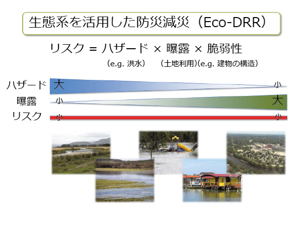 図1　生態系を活用した防災減災（Eco-DRR）では、ハザードの高い場所での人間活動の曝露を小さくし、ハザードの低い場所で人間活動を行なうことで、災害リスクを減らしつつ、生態系の豊かな恵みを利用できます。