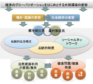 図１　本FSの研究フレームワーク